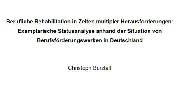 Die erste Seite der Masterarbeit von Christoph Burzlaff ist zu sehen. 
